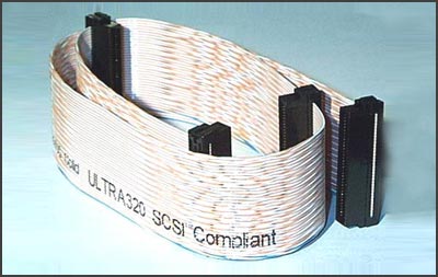 Cable De Datos Scsi